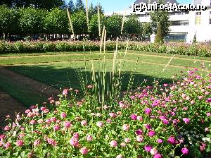 [P37] Bourges - Le Jardin de l'Archeveche » foto by doina_c24
 - 
<span class="allrVoted glyphicon glyphicon-heart hidden" id="av401890"></span>
<a class="m-l-10 hidden" id="sv401890" onclick="voting_Foto_DelVot(,401890,13666)" role="button">șterge vot <span class="glyphicon glyphicon-remove"></span></a>
<a id="v9401890" class=" c-red"  onclick="voting_Foto_SetVot(401890)" role="button"><span class="glyphicon glyphicon-heart-empty"></span> <b>LIKE</b> = Votează poza</a> <img class="hidden"  id="f401890W9" src="/imagini/loader.gif" border="0" /><span class="AjErrMes hidden" id="e401890ErM"></span>