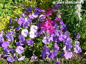 [P38] Bourges - Le Jardin de l'Archeveche » foto by doina_c24
 - 
<span class="allrVoted glyphicon glyphicon-heart hidden" id="av401891"></span>
<a class="m-l-10 hidden" id="sv401891" onclick="voting_Foto_DelVot(,401891,13666)" role="button">șterge vot <span class="glyphicon glyphicon-remove"></span></a>
<a id="v9401891" class=" c-red"  onclick="voting_Foto_SetVot(401891)" role="button"><span class="glyphicon glyphicon-heart-empty"></span> <b>LIKE</b> = Votează poza</a> <img class="hidden"  id="f401891W9" src="/imagini/loader.gif" border="0" /><span class="AjErrMes hidden" id="e401891ErM"></span>