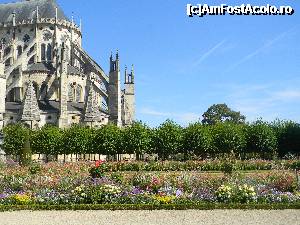 [P05] Bourges - Catedrala Saint-Etienne.  » foto by doina_c24
 - 
<span class="allrVoted glyphicon glyphicon-heart hidden" id="av401858"></span>
<a class="m-l-10 hidden" id="sv401858" onclick="voting_Foto_DelVot(,401858,13666)" role="button">șterge vot <span class="glyphicon glyphicon-remove"></span></a>
<a id="v9401858" class=" c-red"  onclick="voting_Foto_SetVot(401858)" role="button"><span class="glyphicon glyphicon-heart-empty"></span> <b>LIKE</b> = Votează poza</a> <img class="hidden"  id="f401858W9" src="/imagini/loader.gif" border="0" /><span class="AjErrMes hidden" id="e401858ErM"></span>