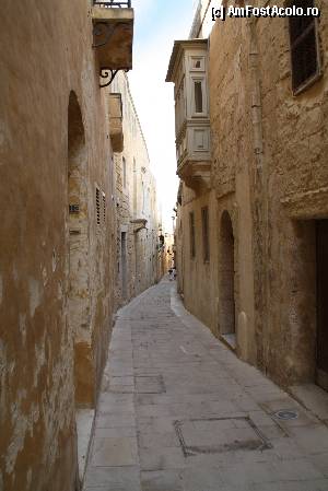 [P174] Mdina » foto by Alina53
 - 
<span class="allrVoted glyphicon glyphicon-heart hidden" id="av403003"></span>
<a class="m-l-10 hidden" id="sv403003" onclick="voting_Foto_DelVot(,403003,13685)" role="button">șterge vot <span class="glyphicon glyphicon-remove"></span></a>
<a id="v9403003" class=" c-red"  onclick="voting_Foto_SetVot(403003)" role="button"><span class="glyphicon glyphicon-heart-empty"></span> <b>LIKE</b> = Votează poza</a> <img class="hidden"  id="f403003W9" src="/imagini/loader.gif" border="0" /><span class="AjErrMes hidden" id="e403003ErM"></span>