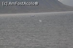 [P23] ”Fântâna arteziană” a unei balene...  » foto by Alina53
 - 
<span class="allrVoted glyphicon glyphicon-heart hidden" id="av1091379"></span>
<a class="m-l-10 hidden" id="sv1091379" onclick="voting_Foto_DelVot(,1091379,13685)" role="button">șterge vot <span class="glyphicon glyphicon-remove"></span></a>
<a id="v91091379" class=" c-red"  onclick="voting_Foto_SetVot(1091379)" role="button"><span class="glyphicon glyphicon-heart-empty"></span> <b>LIKE</b> = Votează poza</a> <img class="hidden"  id="f1091379W9" src="/imagini/loader.gif" border="0" /><span class="AjErrMes hidden" id="e1091379ErM"></span>