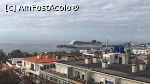 [P19] MADEIRA » foto by bogdan 75
 - 
<span class="allrVoted glyphicon glyphicon-heart hidden" id="av1065005"></span>
<a class="m-l-10 hidden" id="sv1065005" onclick="voting_Foto_DelVot(,1065005,13685)" role="button">șterge vot <span class="glyphicon glyphicon-remove"></span></a>
<a id="v91065005" class=" c-red"  onclick="voting_Foto_SetVot(1065005)" role="button"><span class="glyphicon glyphicon-heart-empty"></span> <b>LIKE</b> = Votează poza</a> <img class="hidden"  id="f1065005W9" src="/imagini/loader.gif" border="0" /><span class="AjErrMes hidden" id="e1065005ErM"></span>