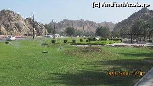 [P10] Parc in Muscat » foto by vera77
 - 
<span class="allrVoted glyphicon glyphicon-heart hidden" id="av593689"></span>
<a class="m-l-10 hidden" id="sv593689" onclick="voting_Foto_DelVot(,593689,13685)" role="button">șterge vot <span class="glyphicon glyphicon-remove"></span></a>
<a id="v9593689" class=" c-red"  onclick="voting_Foto_SetVot(593689)" role="button"><span class="glyphicon glyphicon-heart-empty"></span> <b>LIKE</b> = Votează poza</a> <img class="hidden"  id="f593689W9" src="/imagini/loader.gif" border="0" /><span class="AjErrMes hidden" id="e593689ErM"></span>