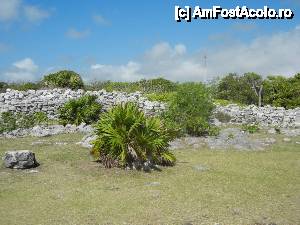 [P08] zidul orasului mayas Tulum » foto by geop
 - 
<span class="allrVoted glyphicon glyphicon-heart hidden" id="av404470"></span>
<a class="m-l-10 hidden" id="sv404470" onclick="voting_Foto_DelVot(,404470,13710)" role="button">șterge vot <span class="glyphicon glyphicon-remove"></span></a>
<a id="v9404470" class=" c-red"  onclick="voting_Foto_SetVot(404470)" role="button"><span class="glyphicon glyphicon-heart-empty"></span> <b>LIKE</b> = Votează poza</a> <img class="hidden"  id="f404470W9" src="/imagini/loader.gif" border="0" /><span class="AjErrMes hidden" id="e404470ErM"></span>