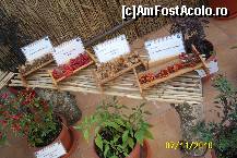 [P16] Fiecare cu numele sau » foto by Alina53
 - 
<span class="allrVoted glyphicon glyphicon-heart hidden" id="av161486"></span>
<a class="m-l-10 hidden" id="sv161486" onclick="voting_Foto_DelVot(,161486,13735)" role="button">șterge vot <span class="glyphicon glyphicon-remove"></span></a>
<a id="v9161486" class=" c-red"  onclick="voting_Foto_SetVot(161486)" role="button"><span class="glyphicon glyphicon-heart-empty"></span> <b>LIKE</b> = Votează poza</a> <img class="hidden"  id="f161486W9" src="/imagini/loader.gif" border="0" /><span class="AjErrMes hidden" id="e161486ErM"></span>