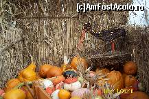 [P18] Ingeniozitate cu gramada! » foto by Alina53
 - 
<span class="allrVoted glyphicon glyphicon-heart hidden" id="av161489"></span>
<a class="m-l-10 hidden" id="sv161489" onclick="voting_Foto_DelVot(,161489,13735)" role="button">șterge vot <span class="glyphicon glyphicon-remove"></span></a>
<a id="v9161489" class=" c-red"  onclick="voting_Foto_SetVot(161489)" role="button"><span class="glyphicon glyphicon-heart-empty"></span> <b>LIKE</b> = Votează poza</a> <img class="hidden"  id="f161489W9" src="/imagini/loader.gif" border="0" /><span class="AjErrMes hidden" id="e161489ErM"></span>