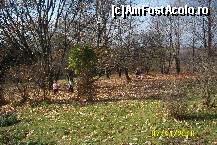 [P19] In asteptarea fulgilor de nea, copilasii aruncau in sus frunzele obosite de viata... » foto by Alina53
 - 
<span class="allrVoted glyphicon glyphicon-heart hidden" id="av161490"></span>
<a class="m-l-10 hidden" id="sv161490" onclick="voting_Foto_DelVot(,161490,13735)" role="button">șterge vot <span class="glyphicon glyphicon-remove"></span></a>
<a id="v9161490" class=" c-red"  onclick="voting_Foto_SetVot(161490)" role="button"><span class="glyphicon glyphicon-heart-empty"></span> <b>LIKE</b> = Votează poza</a> <img class="hidden"  id="f161490W9" src="/imagini/loader.gif" border="0" /><span class="AjErrMes hidden" id="e161490ErM"></span>