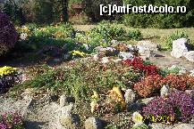 [P20] Culori si iar culori... » foto by Alina53
 - 
<span class="allrVoted glyphicon glyphicon-heart hidden" id="av161493"></span>
<a class="m-l-10 hidden" id="sv161493" onclick="voting_Foto_DelVot(,161493,13735)" role="button">șterge vot <span class="glyphicon glyphicon-remove"></span></a>
<a id="v9161493" class=" c-red"  onclick="voting_Foto_SetVot(161493)" role="button"><span class="glyphicon glyphicon-heart-empty"></span> <b>LIKE</b> = Votează poza</a> <img class="hidden"  id="f161493W9" src="/imagini/loader.gif" border="0" /><span class="AjErrMes hidden" id="e161493ErM"></span>