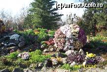 [P21] Aranjamente florale realizate cu bun gust! » foto by Alina53
 - 
<span class="allrVoted glyphicon glyphicon-heart hidden" id="av161495"></span>
<a class="m-l-10 hidden" id="sv161495" onclick="voting_Foto_DelVot(,161495,13735)" role="button">șterge vot <span class="glyphicon glyphicon-remove"></span></a>
<a id="v9161495" class=" c-red"  onclick="voting_Foto_SetVot(161495)" role="button"><span class="glyphicon glyphicon-heart-empty"></span> <b>LIKE</b> = Votează poza</a> <img class="hidden"  id="f161495W9" src="/imagini/loader.gif" border="0" /><span class="AjErrMes hidden" id="e161495ErM"></span>