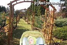 [P24] ...si *floricica* noastra dormind la soare... » foto by Alina53
 - 
<span class="allrVoted glyphicon glyphicon-heart hidden" id="av161501"></span>
<a class="m-l-10 hidden" id="sv161501" onclick="voting_Foto_DelVot(,161501,13735)" role="button">șterge vot <span class="glyphicon glyphicon-remove"></span></a>
<a id="v9161501" class=" c-red"  onclick="voting_Foto_SetVot(161501)" role="button"><span class="glyphicon glyphicon-heart-empty"></span> <b>LIKE</b> = Votează poza</a> <img class="hidden"  id="f161501W9" src="/imagini/loader.gif" border="0" /><span class="AjErrMes hidden" id="e161501ErM"></span>