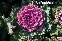 [P08] Mana omului n-ar reusi asa ceva! » foto by Alina53
 - 
<span class="allrVoted glyphicon glyphicon-heart hidden" id="av161474"></span>
<a class="m-l-10 hidden" id="sv161474" onclick="voting_Foto_DelVot(,161474,13735)" role="button">șterge vot <span class="glyphicon glyphicon-remove"></span></a>
<a id="v9161474" class=" c-red"  onclick="voting_Foto_SetVot(161474)" role="button"><span class="glyphicon glyphicon-heart-empty"></span> <b>LIKE</b> = Votează poza</a> <img class="hidden"  id="f161474W9" src="/imagini/loader.gif" border="0" /><span class="AjErrMes hidden" id="e161474ErM"></span>