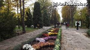 [P01] Iasi - Gradina Botanica 
Aleea de la intrarea in gradina » foto by Nicu Teusdea
 - 
<span class="allrVoted glyphicon glyphicon-heart hidden" id="av405818"></span>
<a class="m-l-10 hidden" id="sv405818" onclick="voting_Foto_DelVot(,405818,13735)" role="button">șterge vot <span class="glyphicon glyphicon-remove"></span></a>
<a id="v9405818" class=" c-red"  onclick="voting_Foto_SetVot(405818)" role="button"><span class="glyphicon glyphicon-heart-empty"></span> <b>LIKE</b> = Votează poza</a> <img class="hidden"  id="f405818W9" src="/imagini/loader.gif" border="0" /><span class="AjErrMes hidden" id="e405818ErM"></span>