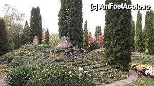 [P03] Iasi - Gradina Botanica 
vegetatie de stanca » foto by Nicu Teusdea
 - 
<span class="allrVoted glyphicon glyphicon-heart hidden" id="av405820"></span>
<a class="m-l-10 hidden" id="sv405820" onclick="voting_Foto_DelVot(,405820,13735)" role="button">șterge vot <span class="glyphicon glyphicon-remove"></span></a>
<a id="v9405820" class=" c-red"  onclick="voting_Foto_SetVot(405820)" role="button"><span class="glyphicon glyphicon-heart-empty"></span> <b>LIKE</b> = Votează poza</a> <img class="hidden"  id="f405820W9" src="/imagini/loader.gif" border="0" /><span class="AjErrMes hidden" id="e405820ErM"></span>