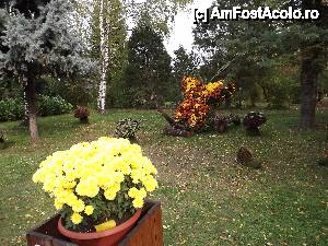 [P04] Iasi - Gradina Botanica 
Amenajari florale » foto by Nicu Teusdea
 - 
<span class="allrVoted glyphicon glyphicon-heart hidden" id="av405821"></span>
<a class="m-l-10 hidden" id="sv405821" onclick="voting_Foto_DelVot(,405821,13735)" role="button">șterge vot <span class="glyphicon glyphicon-remove"></span></a>
<a id="v9405821" class=" c-red"  onclick="voting_Foto_SetVot(405821)" role="button"><span class="glyphicon glyphicon-heart-empty"></span> <b>LIKE</b> = Votează poza</a> <img class="hidden"  id="f405821W9" src="/imagini/loader.gif" border="0" /><span class="AjErrMes hidden" id="e405821ErM"></span>