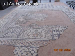 [P63] Muzeul de istorie Orange, mozaicul cu motive geometrice si flori » foto by Yolanda
 - 
<span class="allrVoted glyphicon glyphicon-heart hidden" id="av1516623"></span>
<a class="m-l-10 hidden" id="sv1516623" onclick="voting_Foto_DelVot(,1516623,13769)" role="button">șterge vot <span class="glyphicon glyphicon-remove"></span></a>
<a id="v91516623" class=" c-red"  onclick="voting_Foto_SetVot(1516623)" role="button"><span class="glyphicon glyphicon-heart-empty"></span> <b>LIKE</b> = Votează poza</a> <img class="hidden"  id="f1516623W9" src="/imagini/loader.gif" border="0" /><span class="AjErrMes hidden" id="e1516623ErM"></span>