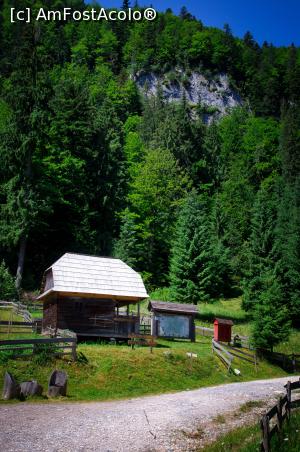 [P12] La cătunul Casa de Piatră » foto by Remicade
 - 
<span class="allrVoted glyphicon glyphicon-heart hidden" id="av769681"></span>
<a class="m-l-10 hidden" id="sv769681" onclick="voting_Foto_DelVot(,769681,13782)" role="button">șterge vot <span class="glyphicon glyphicon-remove"></span></a>
<a id="v9769681" class=" c-red"  onclick="voting_Foto_SetVot(769681)" role="button"><span class="glyphicon glyphicon-heart-empty"></span> <b>LIKE</b> = Votează poza</a> <img class="hidden"  id="f769681W9" src="/imagini/loader.gif" border="0" /><span class="AjErrMes hidden" id="e769681ErM"></span>