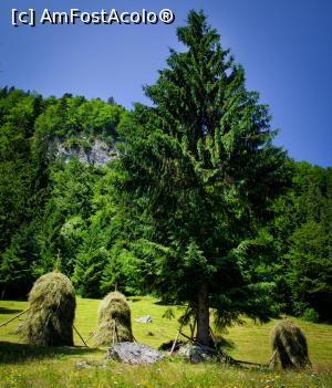 [P15] Spre Coiba Mare » foto by Remicade
 - 
<span class="allrVoted glyphicon glyphicon-heart hidden" id="av769684"></span>
<a class="m-l-10 hidden" id="sv769684" onclick="voting_Foto_DelVot(,769684,13782)" role="button">șterge vot <span class="glyphicon glyphicon-remove"></span></a>
<a id="v9769684" class=" c-red"  onclick="voting_Foto_SetVot(769684)" role="button"><span class="glyphicon glyphicon-heart-empty"></span> <b>LIKE</b> = Votează poza</a> <img class="hidden"  id="f769684W9" src="/imagini/loader.gif" border="0" /><span class="AjErrMes hidden" id="e769684ErM"></span>