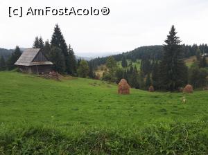 [P01] drumul spre Cheile Ordâncușii, comuna Gârda de Sus, județul Alba, de la Pestera Scarisoara » foto by Dana2008
 - 
<span class="allrVoted glyphicon glyphicon-heart hidden" id="av1041182"></span>
<a class="m-l-10 hidden" id="sv1041182" onclick="voting_Foto_DelVot(,1041182,13782)" role="button">șterge vot <span class="glyphicon glyphicon-remove"></span></a>
<a id="v91041182" class=" c-red"  onclick="voting_Foto_SetVot(1041182)" role="button"><span class="glyphicon glyphicon-heart-empty"></span> <b>LIKE</b> = Votează poza</a> <img class="hidden"  id="f1041182W9" src="/imagini/loader.gif" border="0" /><span class="AjErrMes hidden" id="e1041182ErM"></span>