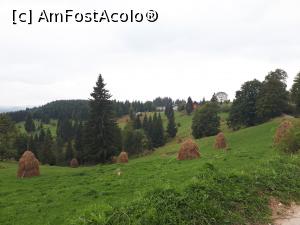 [P02] drumul spre Cheile Ordâncușii, comuna Gârda de Sus, județul Alba, de la Pestera Scarisoara<p> peiaj pitoresc » foto by Dana2008
 - 
<span class="allrVoted glyphicon glyphicon-heart hidden" id="av1041183"></span>
<a class="m-l-10 hidden" id="sv1041183" onclick="voting_Foto_DelVot(,1041183,13782)" role="button">șterge vot <span class="glyphicon glyphicon-remove"></span></a>
<a id="v91041183" class=" c-red"  onclick="voting_Foto_SetVot(1041183)" role="button"><span class="glyphicon glyphicon-heart-empty"></span> <b>LIKE</b> = Votează poza</a> <img class="hidden"  id="f1041183W9" src="/imagini/loader.gif" border="0" /><span class="AjErrMes hidden" id="e1041183ErM"></span>