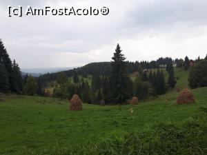 [P03] drumul spre Cheile Ordâncușii, comuna Gârda de Sus, județul Alba, de la Pestera Scarisoara<p> peiaj pitoresc » foto by Dana2008
 - 
<span class="allrVoted glyphicon glyphicon-heart hidden" id="av1041184"></span>
<a class="m-l-10 hidden" id="sv1041184" onclick="voting_Foto_DelVot(,1041184,13782)" role="button">șterge vot <span class="glyphicon glyphicon-remove"></span></a>
<a id="v91041184" class=" c-red"  onclick="voting_Foto_SetVot(1041184)" role="button"><span class="glyphicon glyphicon-heart-empty"></span> <b>LIKE</b> = Votează poza</a> <img class="hidden"  id="f1041184W9" src="/imagini/loader.gif" border="0" /><span class="AjErrMes hidden" id="e1041184ErM"></span>