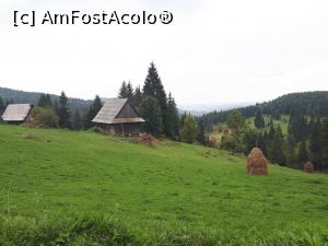 [P04] drumul spre Cheile Ordâncușii, comuna Gârda de Sus, județul Alba, de la Pestera Scarisoara<p> peiaj pitoresc » foto by Dana2008
 - 
<span class="allrVoted glyphicon glyphicon-heart hidden" id="av1041185"></span>
<a class="m-l-10 hidden" id="sv1041185" onclick="voting_Foto_DelVot(,1041185,13782)" role="button">șterge vot <span class="glyphicon glyphicon-remove"></span></a>
<a id="v91041185" class=" c-red"  onclick="voting_Foto_SetVot(1041185)" role="button"><span class="glyphicon glyphicon-heart-empty"></span> <b>LIKE</b> = Votează poza</a> <img class="hidden"  id="f1041185W9" src="/imagini/loader.gif" border="0" /><span class="AjErrMes hidden" id="e1041185ErM"></span>