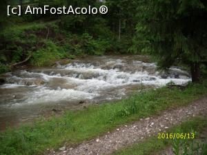 [P30] La întoarcere din Marele Tur!  » foto by puiutea
 - 
<span class="allrVoted glyphicon glyphicon-heart hidden" id="av751936"></span>
<a class="m-l-10 hidden" id="sv751936" onclick="voting_Foto_DelVot(,751936,13782)" role="button">șterge vot <span class="glyphicon glyphicon-remove"></span></a>
<a id="v9751936" class=" c-red"  onclick="voting_Foto_SetVot(751936)" role="button"><span class="glyphicon glyphicon-heart-empty"></span> <b>LIKE</b> = Votează poza</a> <img class="hidden"  id="f751936W9" src="/imagini/loader.gif" border="0" /><span class="AjErrMes hidden" id="e751936ErM"></span>