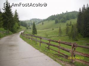 [P05] Urcăm spre cota 1.400... a Apusenilor!  » foto by puiutea
 - 
<span class="allrVoted glyphicon glyphicon-heart hidden" id="av751911"></span>
<a class="m-l-10 hidden" id="sv751911" onclick="voting_Foto_DelVot(,751911,13782)" role="button">șterge vot <span class="glyphicon glyphicon-remove"></span></a>
<a id="v9751911" class=" c-red"  onclick="voting_Foto_SetVot(751911)" role="button"><span class="glyphicon glyphicon-heart-empty"></span> <b>LIKE</b> = Votează poza</a> <img class="hidden"  id="f751911W9" src="/imagini/loader.gif" border="0" /><span class="AjErrMes hidden" id="e751911ErM"></span>