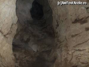 [P08]  -- <small>// FĂRĂ DESCRIERE</small> » foto by gabi82*
 - 
<span class="allrVoted glyphicon glyphicon-heart hidden" id="av571002"></span>
<a class="m-l-10 hidden" id="sv571002" onclick="voting_Foto_DelVot(,571002,13782)" role="button">șterge vot <span class="glyphicon glyphicon-remove"></span></a>
<a id="v9571002" class=" c-red"  onclick="voting_Foto_SetVot(571002)" role="button"><span class="glyphicon glyphicon-heart-empty"></span> <b>LIKE</b> = Votează poza</a> <img class="hidden"  id="f571002W9" src="/imagini/loader.gif" border="0" /><span class="AjErrMes hidden" id="e571002ErM"></span>