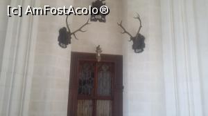 [P20] Trofee de cerb în castelul Hlubocka din Boemia de sud, Cehia.  » foto by traian.leuca †
 - 
<span class="allrVoted glyphicon glyphicon-heart hidden" id="av789125"></span>
<a class="m-l-10 hidden" id="sv789125" onclick="voting_Foto_DelVot(,789125,13787)" role="button">șterge vot <span class="glyphicon glyphicon-remove"></span></a>
<a id="v9789125" class=" c-red"  onclick="voting_Foto_SetVot(789125)" role="button"><span class="glyphicon glyphicon-heart-empty"></span> <b>LIKE</b> = Votează poza</a> <img class="hidden"  id="f789125W9" src="/imagini/loader.gif" border="0" /><span class="AjErrMes hidden" id="e789125ErM"></span>