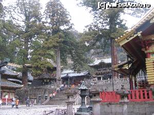 [P02] Temple în Nikko » foto by Michi
 - 
<span class="allrVoted glyphicon glyphicon-heart hidden" id="av688454"></span>
<a class="m-l-10 hidden" id="sv688454" onclick="voting_Foto_DelVot(,688454,13808)" role="button">șterge vot <span class="glyphicon glyphicon-remove"></span></a>
<a id="v9688454" class=" c-red"  onclick="voting_Foto_SetVot(688454)" role="button"><span class="glyphicon glyphicon-heart-empty"></span> <b>LIKE</b> = Votează poza</a> <img class="hidden"  id="f688454W9" src="/imagini/loader.gif" border="0" /><span class="AjErrMes hidden" id="e688454ErM"></span>