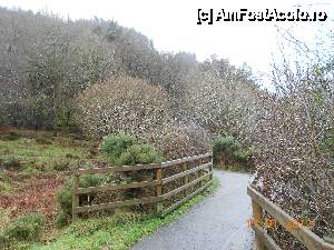 [P08] Wicklow Mountains National Park , poteca prin parc. » foto by Diaura*
 - 
<span class="allrVoted glyphicon glyphicon-heart hidden" id="av411629"></span>
<a class="m-l-10 hidden" id="sv411629" onclick="voting_Foto_DelVot(,411629,13899)" role="button">șterge vot <span class="glyphicon glyphicon-remove"></span></a>
<a id="v9411629" class=" c-red"  onclick="voting_Foto_SetVot(411629)" role="button"><span class="glyphicon glyphicon-heart-empty"></span> <b>LIKE</b> = Votează poza</a> <img class="hidden"  id="f411629W9" src="/imagini/loader.gif" border="0" /><span class="AjErrMes hidden" id="e411629ErM"></span>