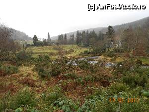 [P09] Wicklow Mountains National Park , tablou de poveste in luna ianuarie. » foto by Diaura*
 - 
<span class="allrVoted glyphicon glyphicon-heart hidden" id="av411630"></span>
<a class="m-l-10 hidden" id="sv411630" onclick="voting_Foto_DelVot(,411630,13899)" role="button">șterge vot <span class="glyphicon glyphicon-remove"></span></a>
<a id="v9411630" class=" c-red"  onclick="voting_Foto_SetVot(411630)" role="button"><span class="glyphicon glyphicon-heart-empty"></span> <b>LIKE</b> = Votează poza</a> <img class="hidden"  id="f411630W9" src="/imagini/loader.gif" border="0" /><span class="AjErrMes hidden" id="e411630ErM"></span>