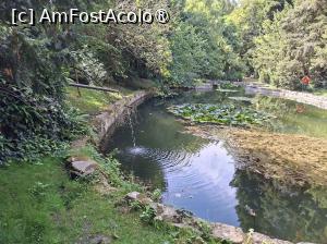 [P10]  -- <small>// FĂRĂ DESCRIERE</small> » foto by Carmen Ion
 - 
<span class="allrVoted glyphicon glyphicon-heart hidden" id="av1511409"></span>
<a class="m-l-10 hidden" id="sv1511409" onclick="voting_Foto_DelVot(,1511409,13964)" role="button">șterge vot <span class="glyphicon glyphicon-remove"></span></a>
<a id="v91511409" class=" c-red"  onclick="voting_Foto_SetVot(1511409)" role="button"><span class="glyphicon glyphicon-heart-empty"></span> <b>LIKE</b> = Votează poza</a> <img class="hidden"  id="f1511409W9" src="/imagini/loader.gif" border="0" /><span class="AjErrMes hidden" id="e1511409ErM"></span>