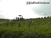 [P03] Pensiunea vazuta de pe soseaua ce merge de la San Gimignano spre Volterra » foto by snakebyte
 - 
<span class="allrVoted glyphicon glyphicon-heart hidden" id="av414033"></span>
<a class="m-l-10 hidden" id="sv414033" onclick="voting_Foto_DelVot(,414033,13981)" role="button">șterge vot <span class="glyphicon glyphicon-remove"></span></a>
<a id="v9414033" class=" c-red"  onclick="voting_Foto_SetVot(414033)" role="button"><span class="glyphicon glyphicon-heart-empty"></span> <b>LIKE</b> = Votează poza</a> <img class="hidden"  id="f414033W9" src="/imagini/loader.gif" border="0" /><span class="AjErrMes hidden" id="e414033ErM"></span>