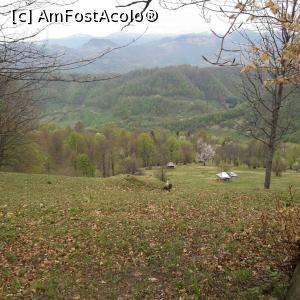 [P01] Vedere a zonei Ruscova de la înălțime, din numeroasele poienițe (platouri) pe care se poate urca la pas.  » foto by coltzu*
 - 
<span class="allrVoted glyphicon glyphicon-heart hidden" id="av850133"></span>
<a class="m-l-10 hidden" id="sv850133" onclick="voting_Foto_DelVot(,850133,14021)" role="button">șterge vot <span class="glyphicon glyphicon-remove"></span></a>
<a id="v9850133" class=" c-red"  onclick="voting_Foto_SetVot(850133)" role="button"><span class="glyphicon glyphicon-heart-empty"></span> <b>LIKE</b> = Votează poza</a> <img class="hidden"  id="f850133W9" src="/imagini/loader.gif" border="0" /><span class="AjErrMes hidden" id="e850133ErM"></span>