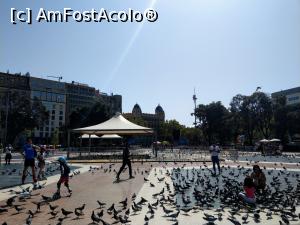 [P13] Barcelona, Plaça de Catalunya, foarte mulți porumbei...  » foto by maryka
 - 
<span class="allrVoted glyphicon glyphicon-heart hidden" id="av1110685"></span>
<a class="m-l-10 hidden" id="sv1110685" onclick="voting_Foto_DelVot(,1110685,14066)" role="button">șterge vot <span class="glyphicon glyphicon-remove"></span></a>
<a id="v91110685" class=" c-red"  onclick="voting_Foto_SetVot(1110685)" role="button"><span class="glyphicon glyphicon-heart-empty"></span> <b>LIKE</b> = Votează poza</a> <img class="hidden"  id="f1110685W9" src="/imagini/loader.gif" border="0" /><span class="AjErrMes hidden" id="e1110685ErM"></span>