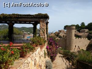 [P67] Tossa de Mar, vedere spre castel.  » foto by maryka
 - 
<span class="allrVoted glyphicon glyphicon-heart hidden" id="av1110739"></span>
<a class="m-l-10 hidden" id="sv1110739" onclick="voting_Foto_DelVot(,1110739,14066)" role="button">șterge vot <span class="glyphicon glyphicon-remove"></span></a>
<a id="v91110739" class=" c-red"  onclick="voting_Foto_SetVot(1110739)" role="button"><span class="glyphicon glyphicon-heart-empty"></span> <b>LIKE</b> = Votează poza</a> <img class="hidden"  id="f1110739W9" src="/imagini/loader.gif" border="0" /><span class="AjErrMes hidden" id="e1110739ErM"></span>