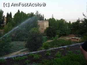 [P21] În acest loc al gradinii se cultiva legume, ca pe vremea califatului.  » foto by carmenvieru11
 - 
<span class="allrVoted glyphicon glyphicon-heart hidden" id="av975224"></span>
<a class="m-l-10 hidden" id="sv975224" onclick="voting_Foto_DelVot(,975224,14091)" role="button">șterge vot <span class="glyphicon glyphicon-remove"></span></a>
<a id="v9975224" class=" c-red"  onclick="voting_Foto_SetVot(975224)" role="button"><span class="glyphicon glyphicon-heart-empty"></span> <b>LIKE</b> = Votează poza</a> <img class="hidden"  id="f975224W9" src="/imagini/loader.gif" border="0" /><span class="AjErrMes hidden" id="e975224ErM"></span>