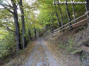 [P12] Kings Valley Resort Apuseni Mountains - prima rampă a urcușului » foto by Dragoș_MD
 - 
<span class="allrVoted glyphicon glyphicon-heart hidden" id="av572320"></span>
<a class="m-l-10 hidden" id="sv572320" onclick="voting_Foto_DelVot(,572320,14116)" role="button">șterge vot <span class="glyphicon glyphicon-remove"></span></a>
<a id="v9572320" class=" c-red"  onclick="voting_Foto_SetVot(572320)" role="button"><span class="glyphicon glyphicon-heart-empty"></span> <b>LIKE</b> = Votează poza</a> <img class="hidden"  id="f572320W9" src="/imagini/loader.gif" border="0" /><span class="AjErrMes hidden" id="e572320ErM"></span>