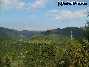 [P01]  -- <small>// FĂRĂ DESCRIERE</small> » foto by Emil Moldovan
 - 
<span class="allrVoted glyphicon glyphicon-heart hidden" id="av553948"></span>
<a class="m-l-10 hidden" id="sv553948" onclick="voting_Foto_DelVot(,553948,14116)" role="button">șterge vot <span class="glyphicon glyphicon-remove"></span></a>
<a id="v9553948" class=" c-red"  onclick="voting_Foto_SetVot(553948)" role="button"><span class="glyphicon glyphicon-heart-empty"></span> <b>LIKE</b> = Votează poza</a> <img class="hidden"  id="f553948W9" src="/imagini/loader.gif" border="0" /><span class="AjErrMes hidden" id="e553948ErM"></span>