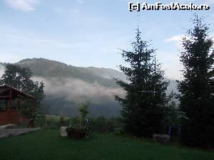 [P02]  -- <small>// FĂRĂ DESCRIERE</small> » foto by ENE IOANA
 - 
<span class="allrVoted glyphicon glyphicon-heart hidden" id="av552222"></span>
<a class="m-l-10 hidden" id="sv552222" onclick="voting_Foto_DelVot(,552222,14116)" role="button">șterge vot <span class="glyphicon glyphicon-remove"></span></a>
<a id="v9552222" class=" c-red"  onclick="voting_Foto_SetVot(552222)" role="button"><span class="glyphicon glyphicon-heart-empty"></span> <b>LIKE</b> = Votează poza</a> <img class="hidden"  id="f552222W9" src="/imagini/loader.gif" border="0" /><span class="AjErrMes hidden" id="e552222ErM"></span>