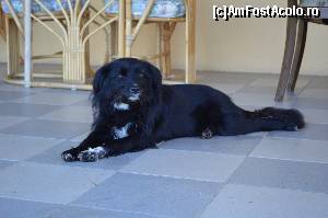 [P27] 'Primejdie'- paznicul KVR » foto by pepsi70ro
 - 
<span class="allrVoted glyphicon glyphicon-heart hidden" id="av567262"></span>
<a class="m-l-10 hidden" id="sv567262" onclick="voting_Foto_DelVot(,567262,14116)" role="button">șterge vot <span class="glyphicon glyphicon-remove"></span></a>
<a id="v9567262" class=" c-red"  onclick="voting_Foto_SetVot(567262)" role="button"><span class="glyphicon glyphicon-heart-empty"></span> <b>LIKE</b> = Votează poza</a> <img class="hidden"  id="f567262W9" src="/imagini/loader.gif" border="0" /><span class="AjErrMes hidden" id="e567262ErM"></span>