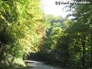 [P02] Culorile toamnei » foto by Michi
 - 
<span class="allrVoted glyphicon glyphicon-heart hidden" id="av566529"></span>
<a class="m-l-10 hidden" id="sv566529" onclick="voting_Foto_DelVot(,566529,14116)" role="button">șterge vot <span class="glyphicon glyphicon-remove"></span></a>
<a id="v9566529" class=" c-red"  onclick="voting_Foto_SetVot(566529)" role="button"><span class="glyphicon glyphicon-heart-empty"></span> <b>LIKE</b> = Votează poza</a> <img class="hidden"  id="f566529W9" src="/imagini/loader.gif" border="0" /><span class="AjErrMes hidden" id="e566529ErM"></span>