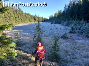[P13] Lacul Roșu dimineața » foto by Mika
 - 
<span class="allrVoted glyphicon glyphicon-heart hidden" id="av1261484"></span>
<a class="m-l-10 hidden" id="sv1261484" onclick="voting_Foto_DelVot(,1261484,14170)" role="button">șterge vot <span class="glyphicon glyphicon-remove"></span></a>
<a id="v91261484" class=" c-red"  onclick="voting_Foto_SetVot(1261484)" role="button"><span class="glyphicon glyphicon-heart-empty"></span> <b>LIKE</b> = Votează poza</a> <img class="hidden"  id="f1261484W9" src="/imagini/loader.gif" border="0" /><span class="AjErrMes hidden" id="e1261484ErM"></span>