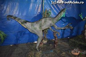 [P11] Nasterea si maturitatea unui dinozaur » foto by cristianam
 - 
<span class="allrVoted glyphicon glyphicon-heart hidden" id="av528296"></span>
<a class="m-l-10 hidden" id="sv528296" onclick="voting_Foto_DelVot(,528296,14175)" role="button">șterge vot <span class="glyphicon glyphicon-remove"></span></a>
<a id="v9528296" class=" c-red"  onclick="voting_Foto_SetVot(528296)" role="button"><span class="glyphicon glyphicon-heart-empty"></span> <b>LIKE</b> = Votează poza</a> <img class="hidden"  id="f528296W9" src="/imagini/loader.gif" border="0" /><span class="AjErrMes hidden" id="e528296ErM"></span>