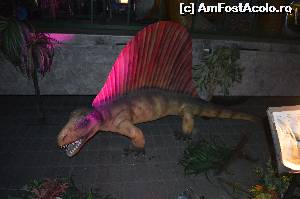 [P12] Dimetrodon - usor de recunoscut datorita Velei de pe spate » foto by cristianam
 - 
<span class="allrVoted glyphicon glyphicon-heart hidden" id="av528297"></span>
<a class="m-l-10 hidden" id="sv528297" onclick="voting_Foto_DelVot(,528297,14175)" role="button">șterge vot <span class="glyphicon glyphicon-remove"></span></a>
<a id="v9528297" class=" c-red"  onclick="voting_Foto_SetVot(528297)" role="button"><span class="glyphicon glyphicon-heart-empty"></span> <b>LIKE</b> = Votează poza</a> <img class="hidden"  id="f528297W9" src="/imagini/loader.gif" border="0" /><span class="AjErrMes hidden" id="e528297ErM"></span>