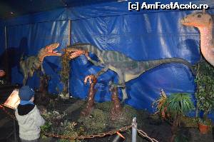 [P13] Oare ce isi spun???  » foto by cristianam
 - 
<span class="allrVoted glyphicon glyphicon-heart hidden" id="av528298"></span>
<a class="m-l-10 hidden" id="sv528298" onclick="voting_Foto_DelVot(,528298,14175)" role="button">șterge vot <span class="glyphicon glyphicon-remove"></span></a>
<a id="v9528298" class=" c-red"  onclick="voting_Foto_SetVot(528298)" role="button"><span class="glyphicon glyphicon-heart-empty"></span> <b>LIKE</b> = Votează poza</a> <img class="hidden"  id="f528298W9" src="/imagini/loader.gif" border="0" /><span class="AjErrMes hidden" id="e528298ErM"></span>