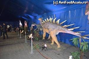 [P14] Imaginea unei parti din latura expozitiei » foto by cristianam
 - 
<span class="allrVoted glyphicon glyphicon-heart hidden" id="av528299"></span>
<a class="m-l-10 hidden" id="sv528299" onclick="voting_Foto_DelVot(,528299,14175)" role="button">șterge vot <span class="glyphicon glyphicon-remove"></span></a>
<a id="v9528299" class=" c-red"  onclick="voting_Foto_SetVot(528299)" role="button"><span class="glyphicon glyphicon-heart-empty"></span> <b>LIKE</b> = Votează poza</a> <img class="hidden"  id="f528299W9" src="/imagini/loader.gif" border="0" /><span class="AjErrMes hidden" id="e528299ErM"></span>