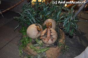 [P15] Asa se nasteau dinozaurii!  » foto by cristianam
 - 
<span class="allrVoted glyphicon glyphicon-heart hidden" id="av528300"></span>
<a class="m-l-10 hidden" id="sv528300" onclick="voting_Foto_DelVot(,528300,14175)" role="button">șterge vot <span class="glyphicon glyphicon-remove"></span></a>
<a id="v9528300" class=" c-red"  onclick="voting_Foto_SetVot(528300)" role="button"><span class="glyphicon glyphicon-heart-empty"></span> <b>LIKE</b> = Votează poza</a> <img class="hidden"  id="f528300W9" src="/imagini/loader.gif" border="0" /><span class="AjErrMes hidden" id="e528300ErM"></span>