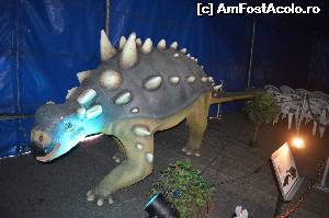 [P19] Dinozaur specia Saichania » foto by cristianam
 - 
<span class="allrVoted glyphicon glyphicon-heart hidden" id="av528311"></span>
<a class="m-l-10 hidden" id="sv528311" onclick="voting_Foto_DelVot(,528311,14175)" role="button">șterge vot <span class="glyphicon glyphicon-remove"></span></a>
<a id="v9528311" class=" c-red"  onclick="voting_Foto_SetVot(528311)" role="button"><span class="glyphicon glyphicon-heart-empty"></span> <b>LIKE</b> = Votează poza</a> <img class="hidden"  id="f528311W9" src="/imagini/loader.gif" border="0" /><span class="AjErrMes hidden" id="e528311ErM"></span>